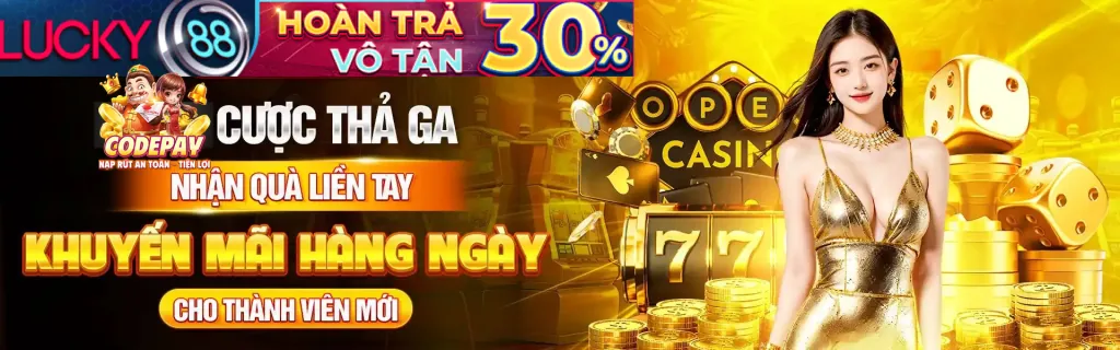 Ví Điện Tử Phổ Biến